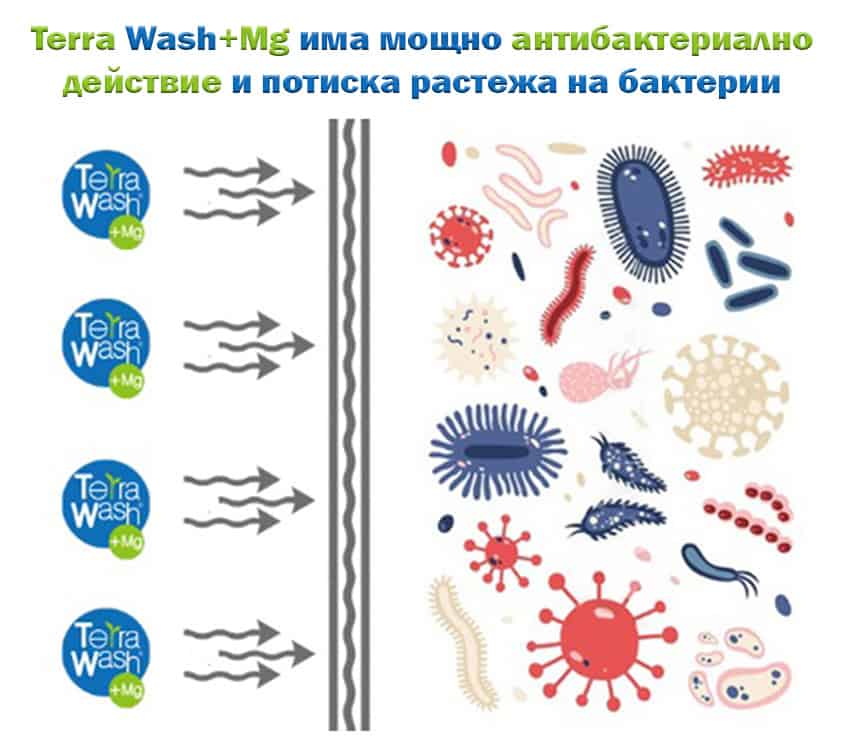 Terra-Wash+Mg-antibacterial-action